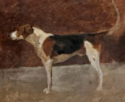 Late 19th century school - portrait of a standing Foxhound, unsigned, oil on paper, 21 x 26cm, oak