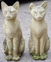 Pair of reconstituted stone garden ornaments in the form of Siamese cats, 55cm high