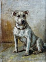 Attributed to John Emms (1843-1912) - Portrait of seated Bull Terrier, unsigned, oil on board, 17