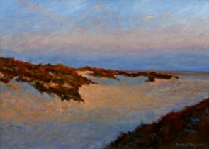 Peter Taylor (20th/21st century) - 'Last light on the dunes', signed, oil on board, 33 x 49cm,