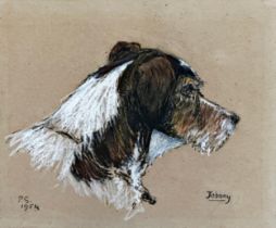 Pamela Skinner (20th century) - 'Johnny', bust portrait of a terrier, monogrammed and dated 1954,