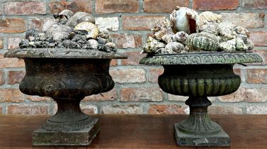 Matched pair of antique shell dioramas set within cast iron urns, 46cm H x 36cm D
