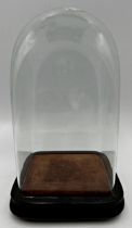 Good quality antique square glass dome with baize fitted interior, 27cm high