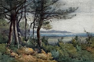 David Hill (early 20th century) - rural landscape, signed, watercolour, 23 x 32cm, framed, with J