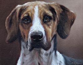 John Silver (b. 1959) - Bust portrait of a foxhound, signed and dated'19, 20.5 x 25.5cm, framed