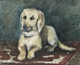 19th century school - portrait of a recumbent terrier, unsigned, watercolour, 44.5 x 59cm,