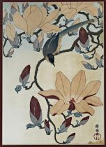 Japanese school - bird in blossom, signed, watercolour, 35 x 23cm, framed