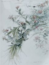 Ralph Thompson (1913-2009) - 'Honeysuckle and Bamboo', signed and dated 1982, watercolour, 53 x