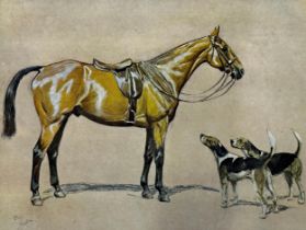 Cecil Aldin (1870-1935) - 'Brains', hunter and two foxhounds, colour print, 37 x 50cm, framed