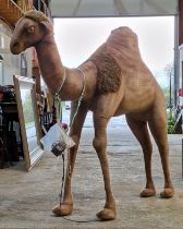 Good large German plush automaton of a camel, with moving head