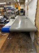 Eisenkolb Mobile Conveyer Feed Table w/ Juki Sewing Machine