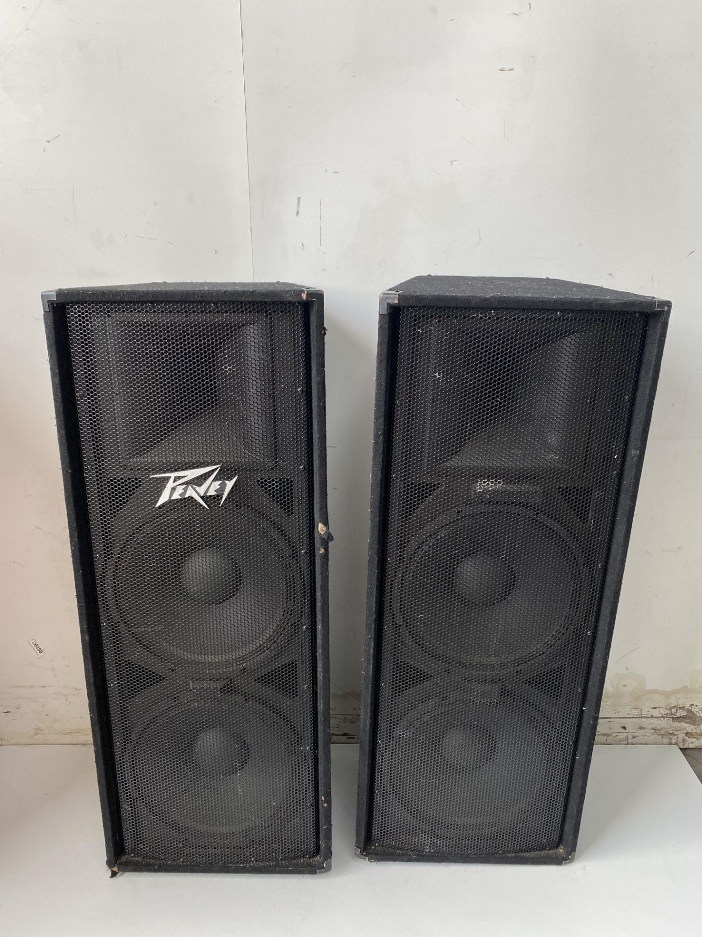 2 x Peavey PV 215 Passive Speakers