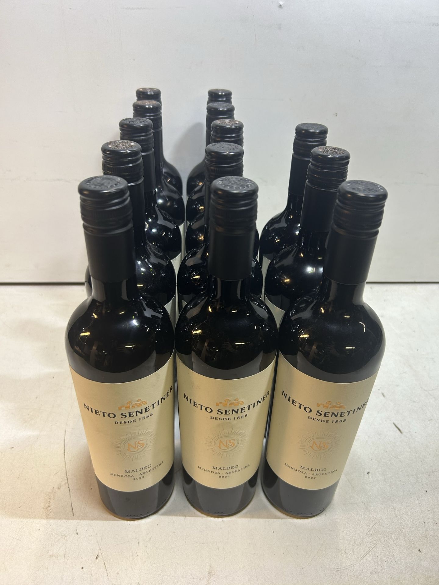 13 x Bottles of Nieto Senetiner Malbec Wine - Bild 2 aus 2