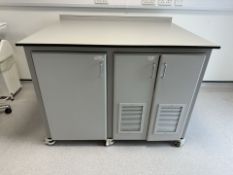 Mobile Laboratory Workbench w/ 3 Doors