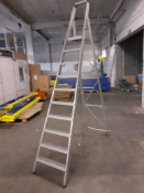 2 x Metal 10 Step Ladders