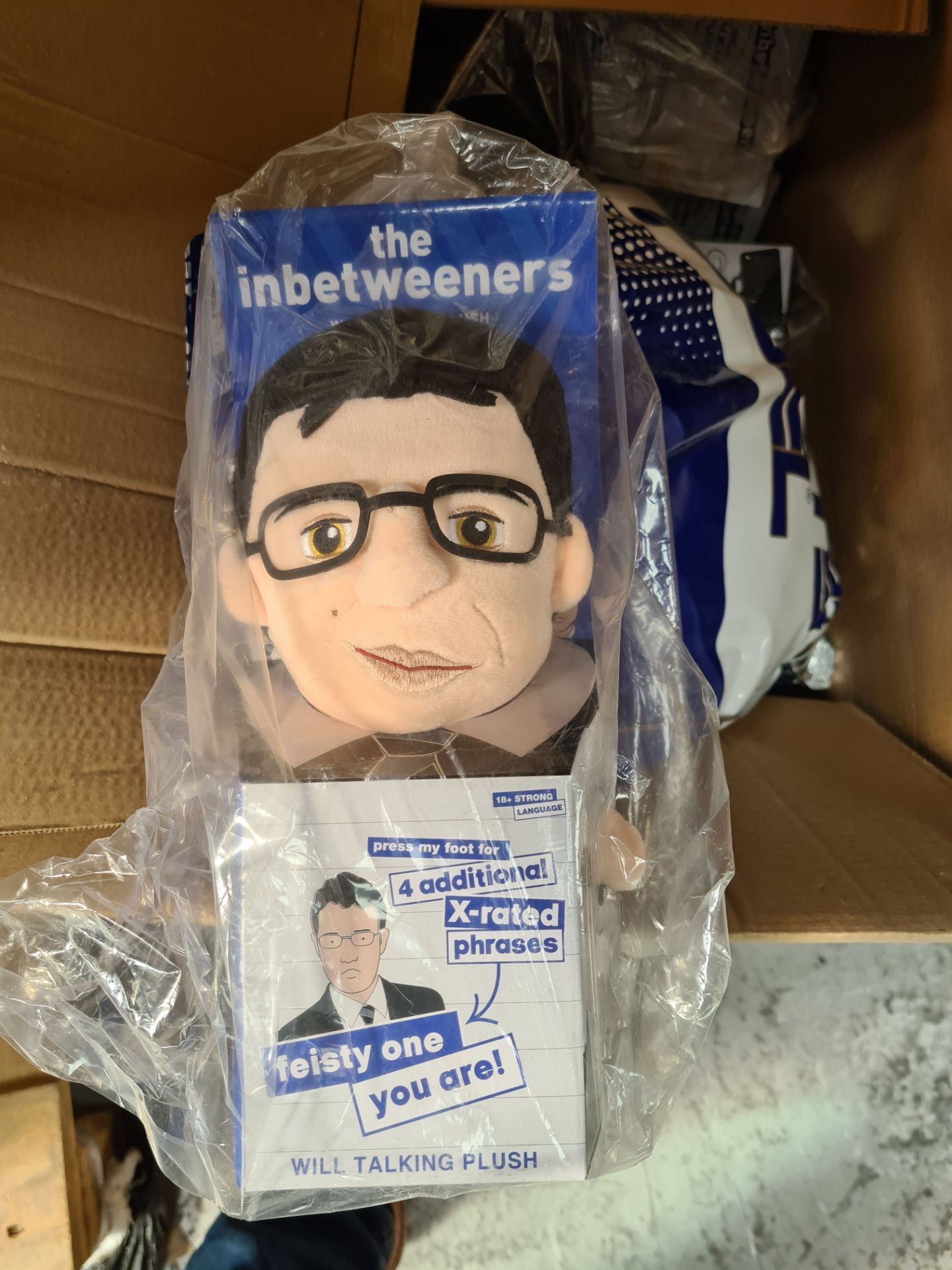 100 x Inbetweeners Theme Mixed Talking Plush Toys | Total RRP £1,500 - Image 3 of 3