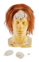 IT | BILL SKARSGARD "PENNYWISE" WIG, COWL, AND FACIAL PROSTHETICS (WITH DVD)