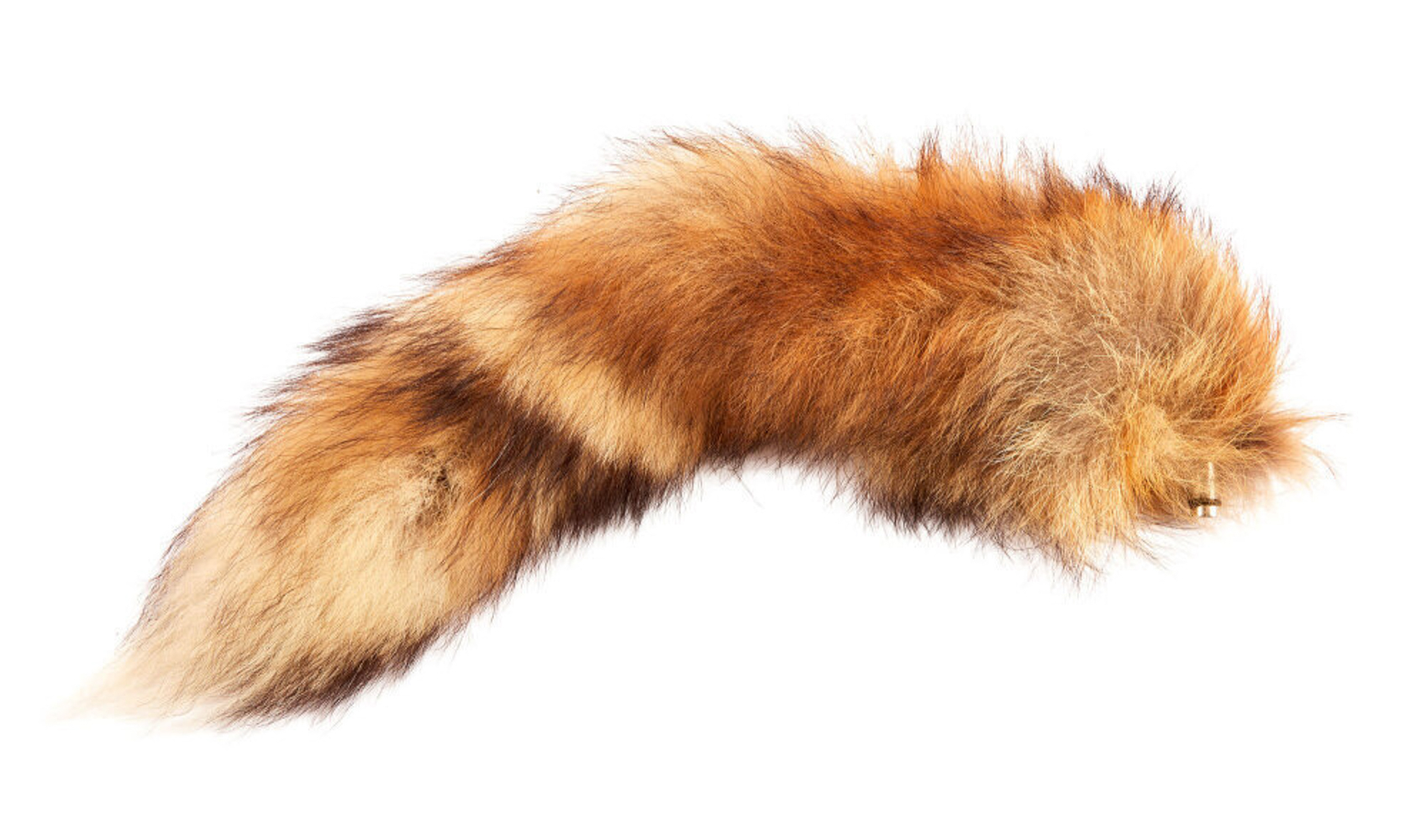 TOMB RAIDER | ALICIA VIKANDER "LARA CROFT" FOX TAIL PROP (WITH DVD)