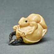 Netsuke, Frosch auf einer Frucht, Japan