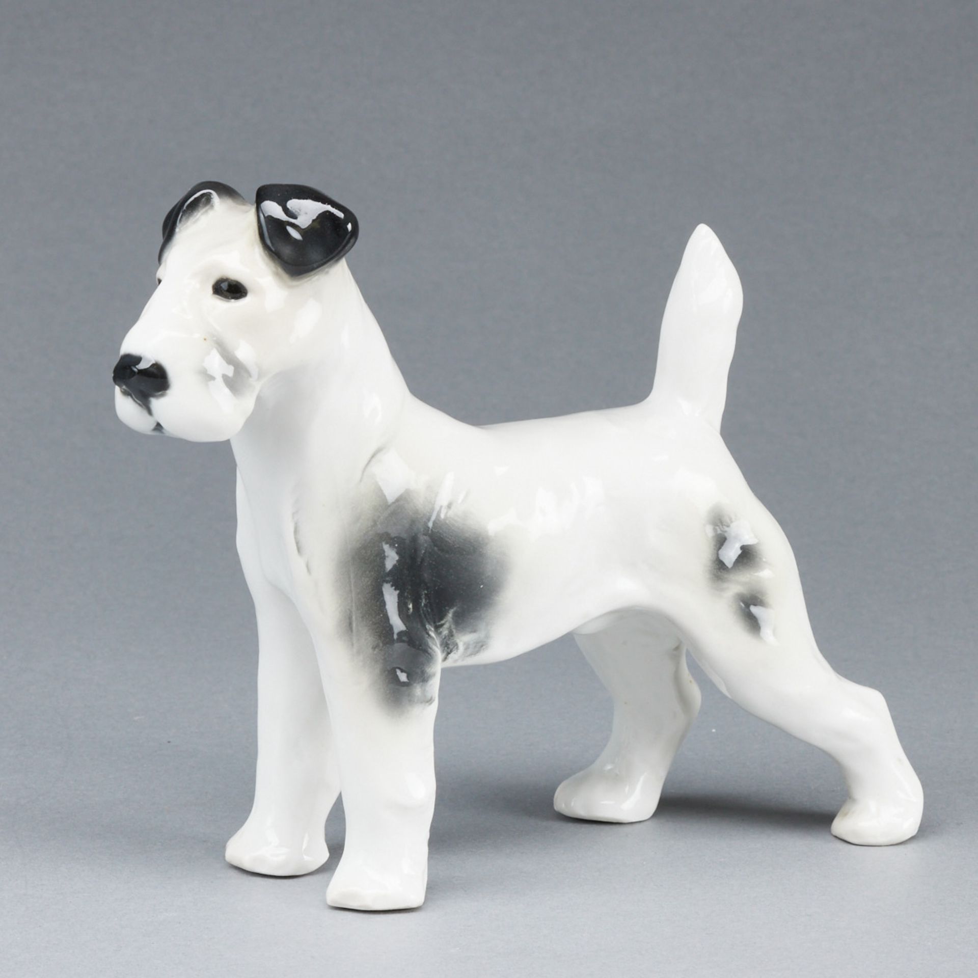 Foxterrier. Porzellanfabrik Ilse Pfeffer, Gotha 1934 - ca. 1942.