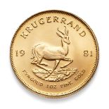 South African gold coin