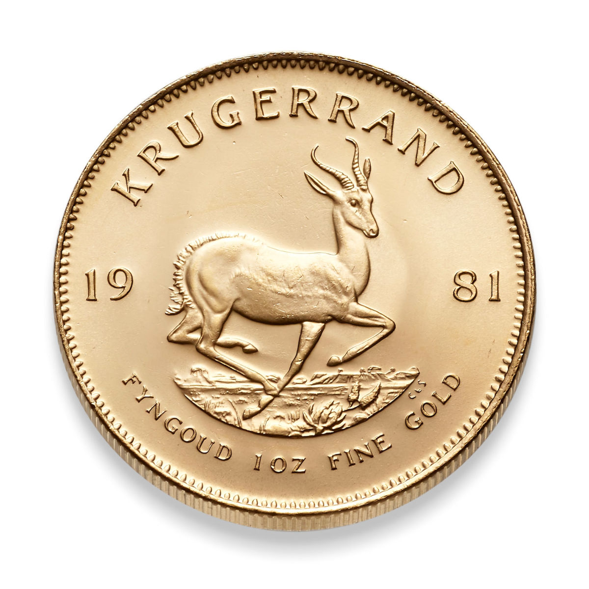 South African gold coin