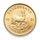 South African gold coin