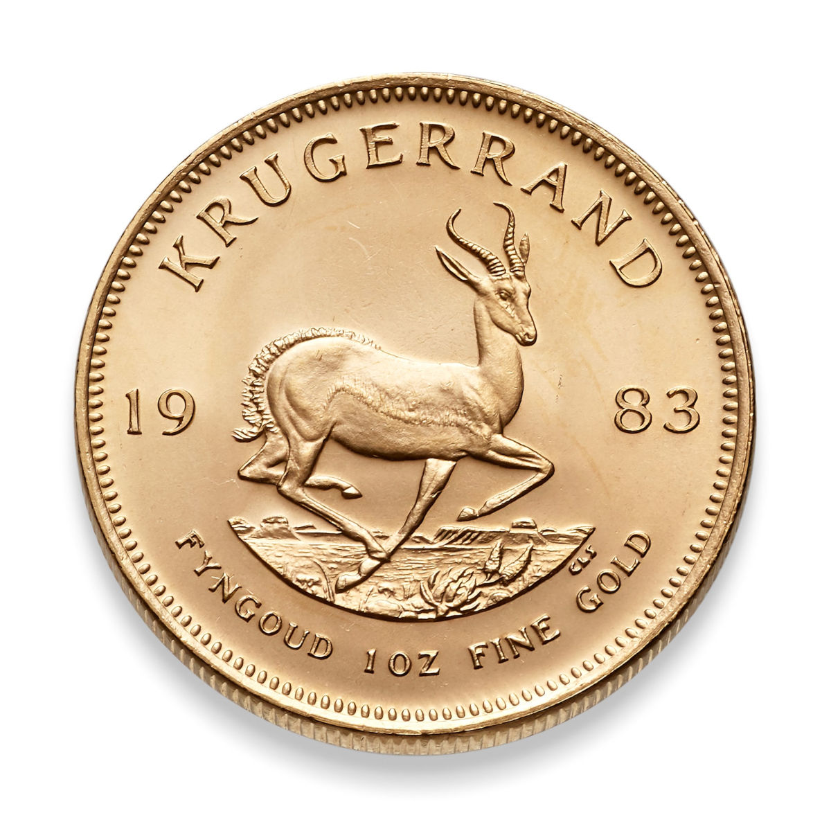 South African gold coin