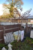 Large decorative metal tree ornament, height approx 240cm