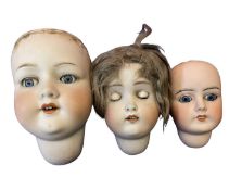 Three bisque dolls heads. - Armand Marseille 390 A11M - Jullien Balleroy Fabrication Francaise