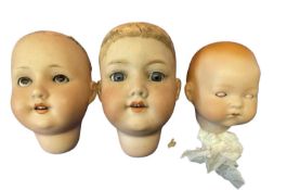 A trio of bisque dolls heads, to include: - Max Oscar Arnold and Welsch 20D - Armand Marseille 390
