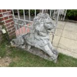 A pair of composite seated lions, height approx 80cm, overall length approx 110cm