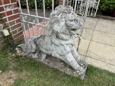 A pair of composite seated lions, height approx 80cm, overall length approx 110cm