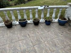 Five glazed plant pots including contents