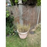 Two matching plastic garden plant pots, height approx 50cm to include contents