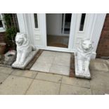 A pair of composite white painted seated lions, height 80cm, overall length approx 110cm