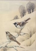 Andrew Osborne (British), a pair of Sparrows in a winter landscape, watercolour, signed, 9x12.