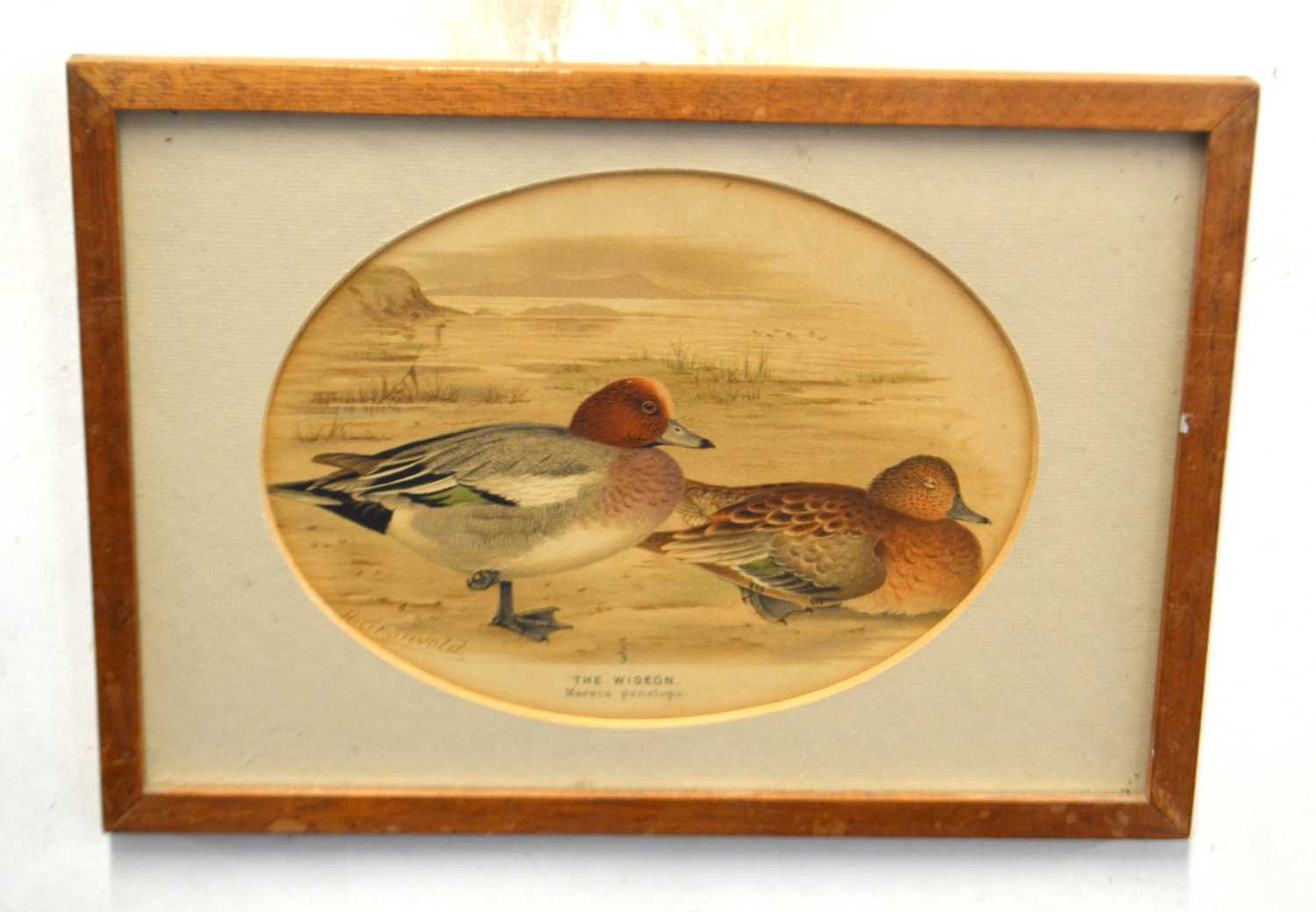 Set of nine framed duck prints - Image 7 of 10