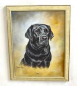 Phillipa Porley (British, contemporary), "Seal", portrait of a black labrador, oil on canvas,