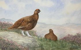 Charles Stanley Todd (British,1923-2004), a pair of red grouse, watercolour, signed, mounted, framed