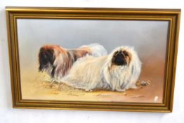 David Feather (British, b.1952), Pekinese dogs, oil on canvas, signed with feather motif, 35x60cm,