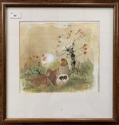 Hugh Brandon Cox (British,1917-2003), Grey Partridge, watercolour, signed, 9.5x10.5ins, 24x27cm,