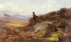 After Archibald Thorburn (British,1860-1935), a group of Red Grouse, limited edition