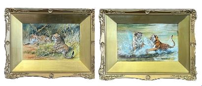 Mollie Everett Field (British, b.1939), a pair of tigers play in water, plus a pair of cheetahs at