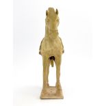 A Chinese straw-glazed pottery model of a horse, Sui dynasty, 581-618 AD, modelled standing