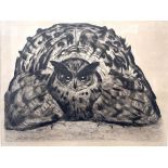 Paul Jouve (French, 1878-1973), Owl, signed l.r., lithograph No.60/100, 35 by 46cm, with a
