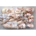 A large quantity of antique doll body parts, to include seven bisque doll heads, Armand Marseille