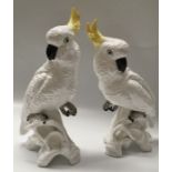 A pair of Crown Staffordshire Cockatiels, 35cm high (2)