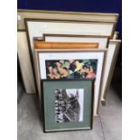 A quantity of assorted pictures, including cattle print, David XXX watercolour, signed prints
