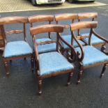 A set of six George IV mahogany dining chairs, shaped top rail and lily carved back rail drop-in-